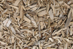 biomass boilers Wheatacre